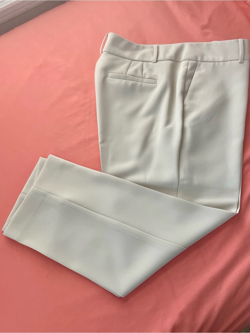 Ann Taylor Petite Light Cream Ankle Length Dress Pants